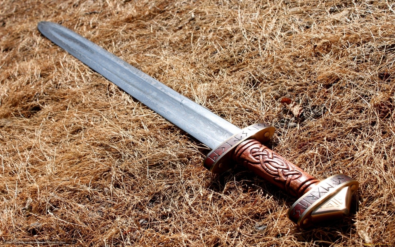 Viking sword on dry grass