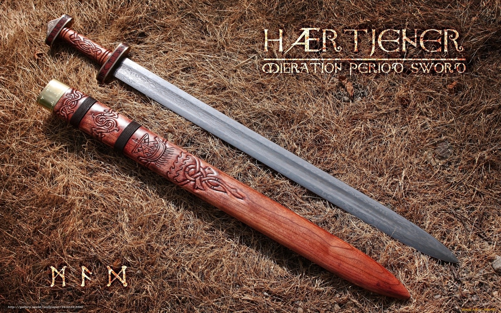 Viking sword on grass