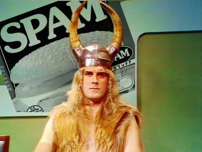 Viking with Spam background