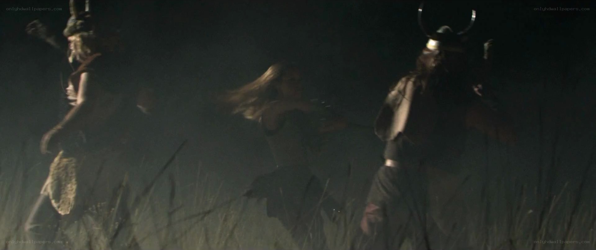 Vikings in a dark field