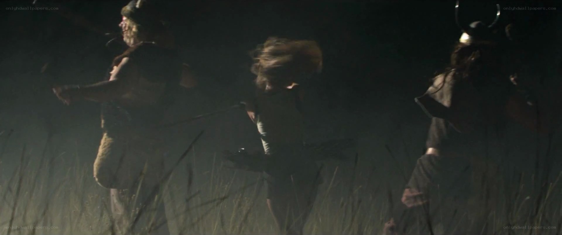 Vikings in a dark field