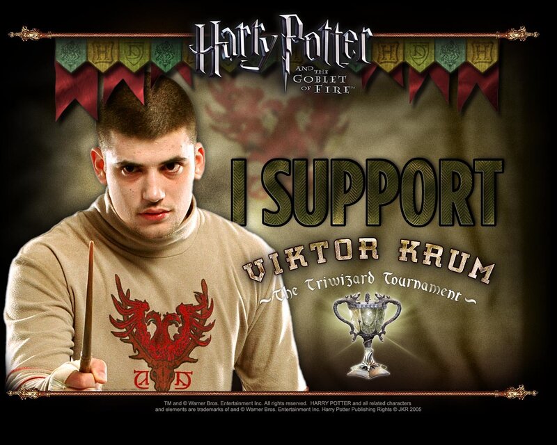 Viktor Krum support