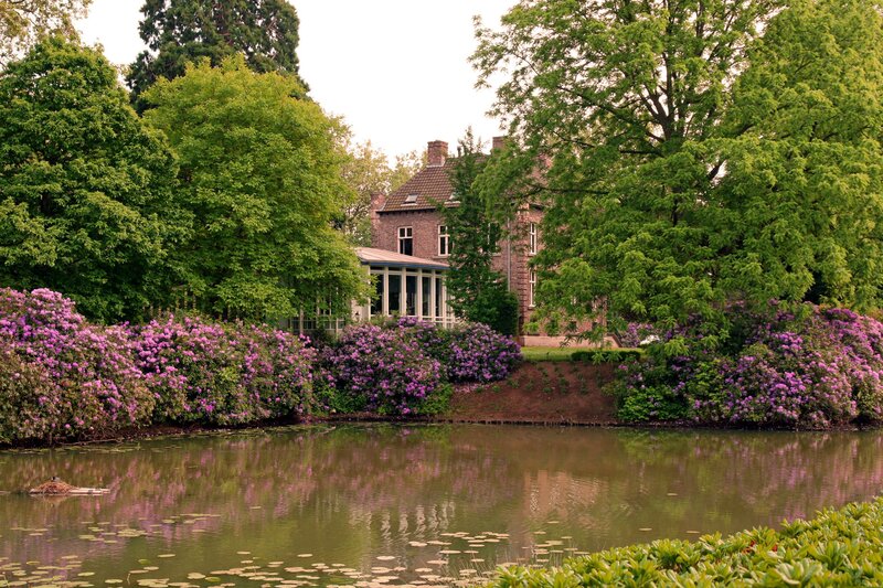 Villa by a pond with purple flowers