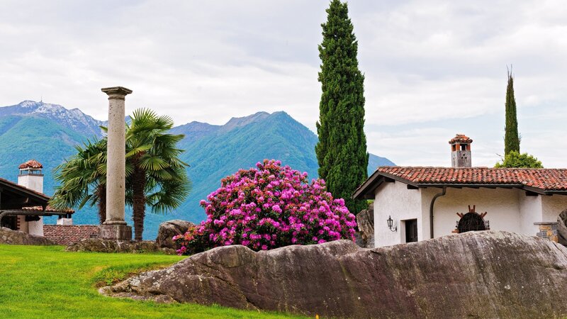Villa with Flowering Bush — Green