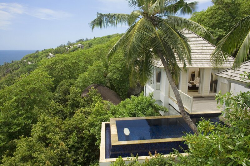 Villa with Pool and Palm Tree