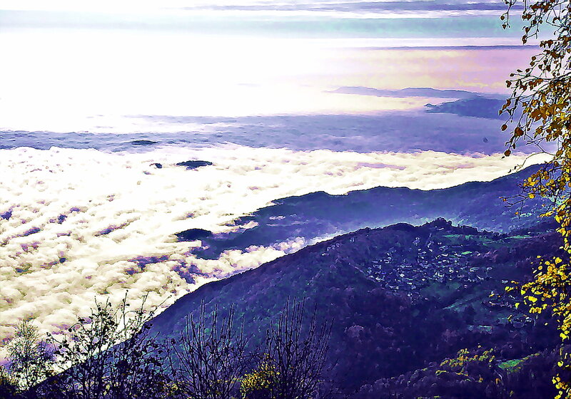Village Above Clouds — Purple