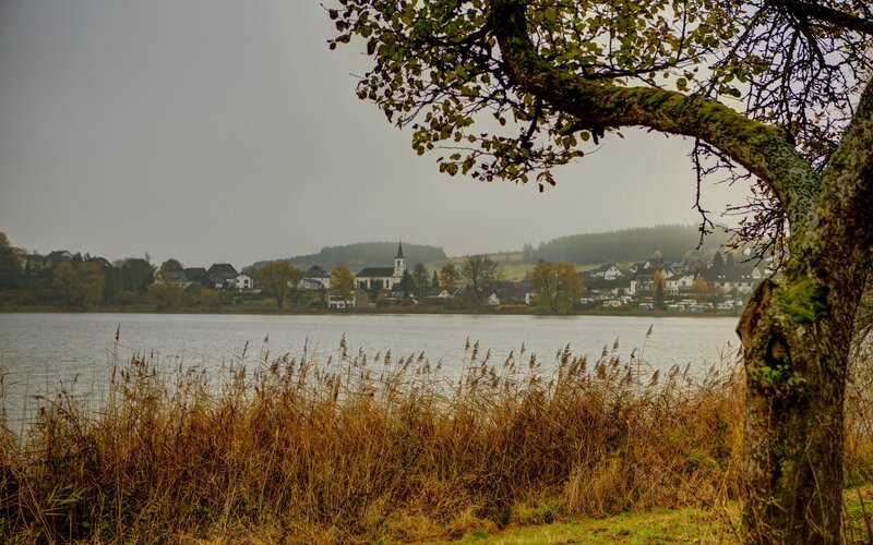 Village Across Lake — Green