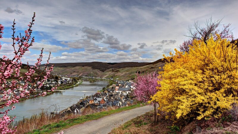 Village Along River Valley