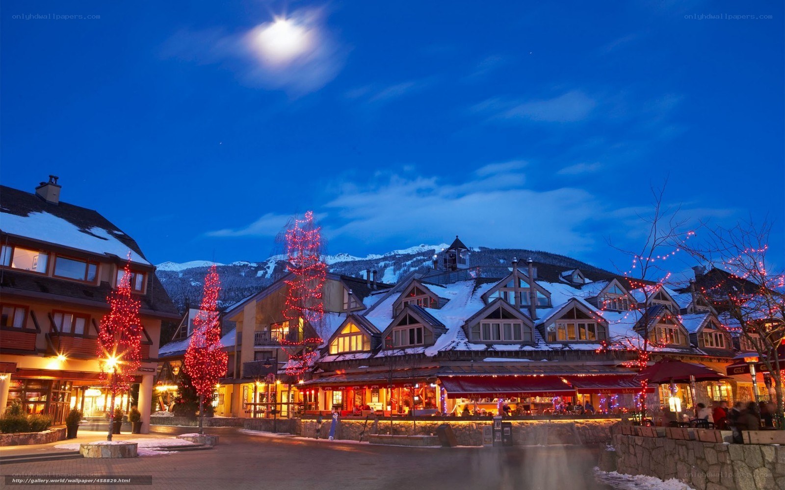 Village at night with moon