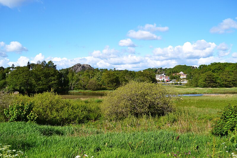 Village by a Lake — Green, Serene