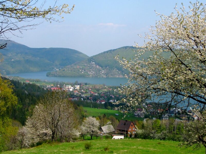 Village by Lake — Green, Serene, Spring