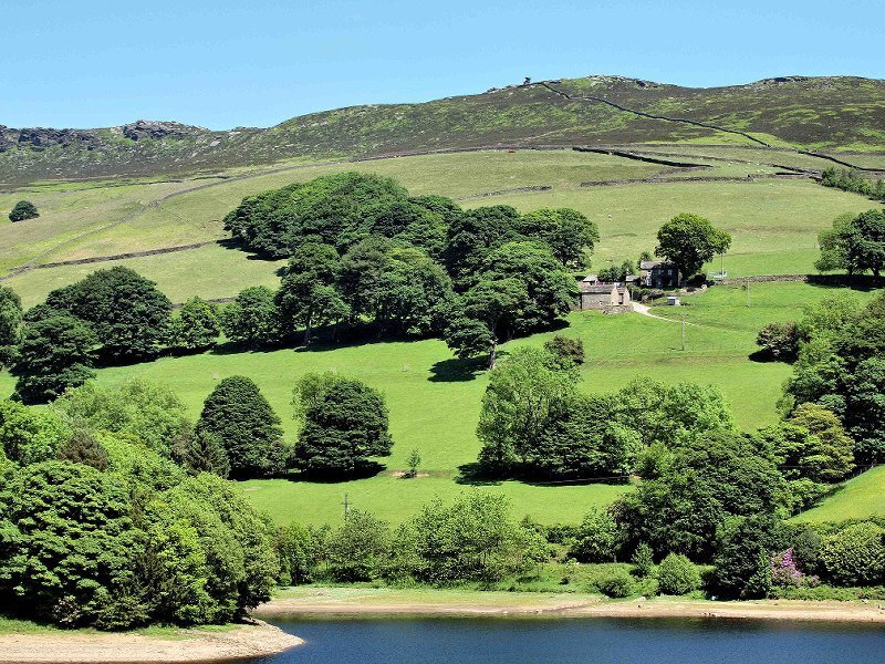 Village by Lake — Green, Serene