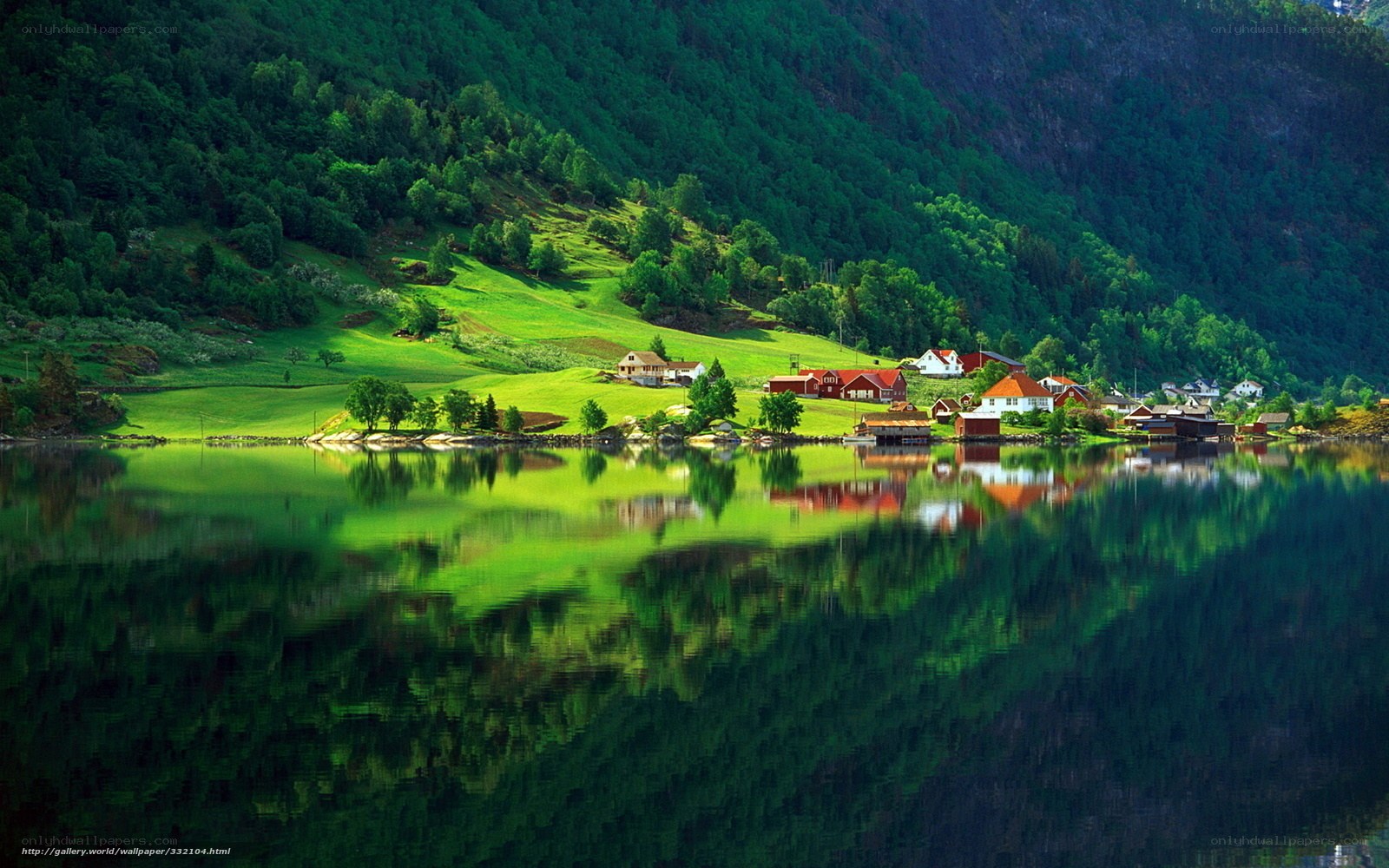 Village by the fjord