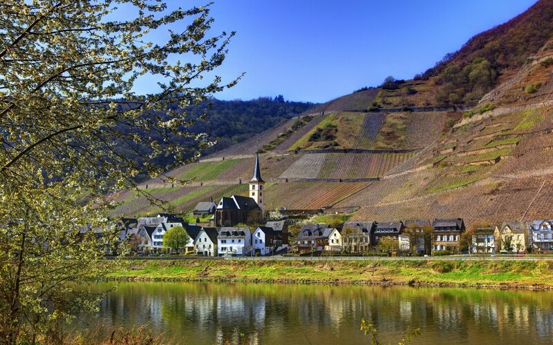 Village by the river with vineyards