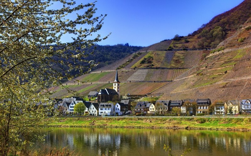 Village by the river with vineyards