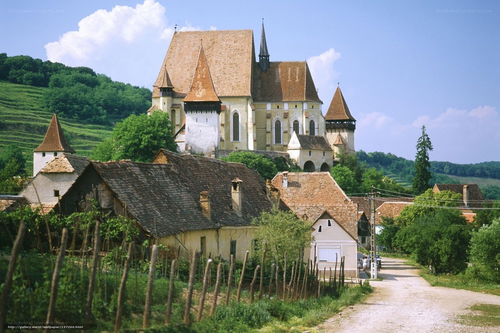 Village church with vineyards