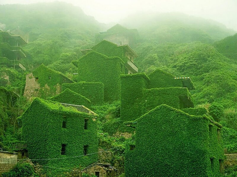 Village Covered in Ivy