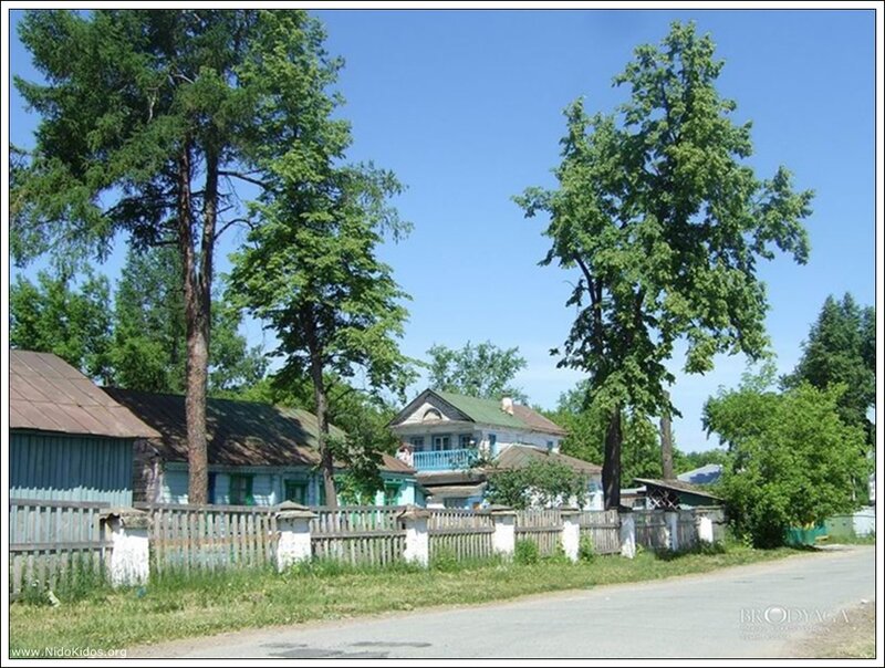 Village houses with trees