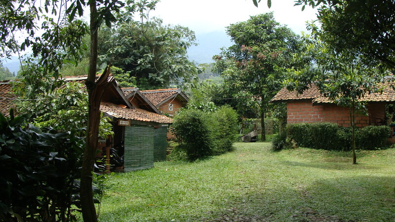 Village Huts in Garden