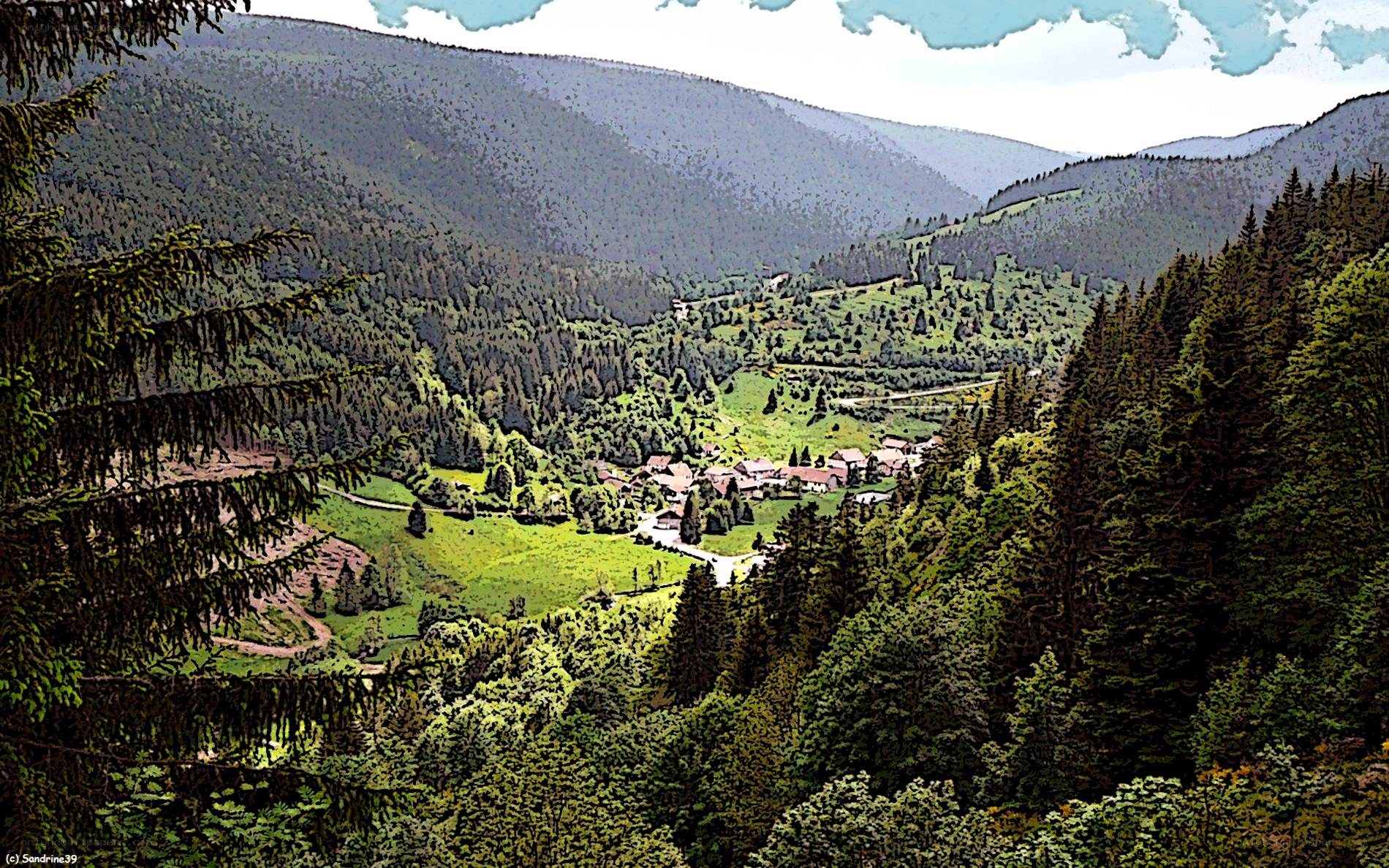 village in a forested valley