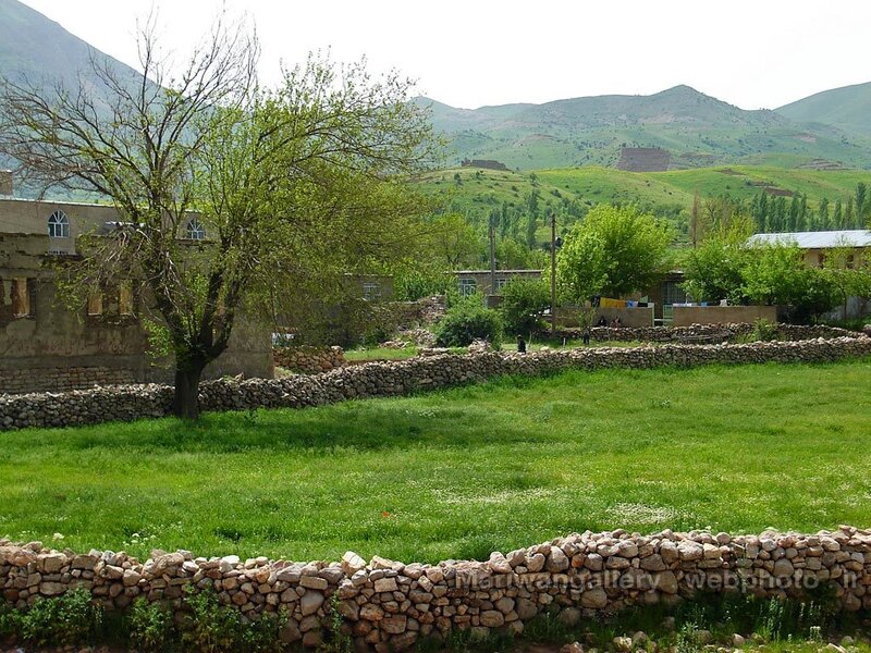Village in a green valley