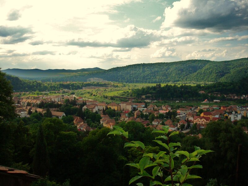 village in a green valley