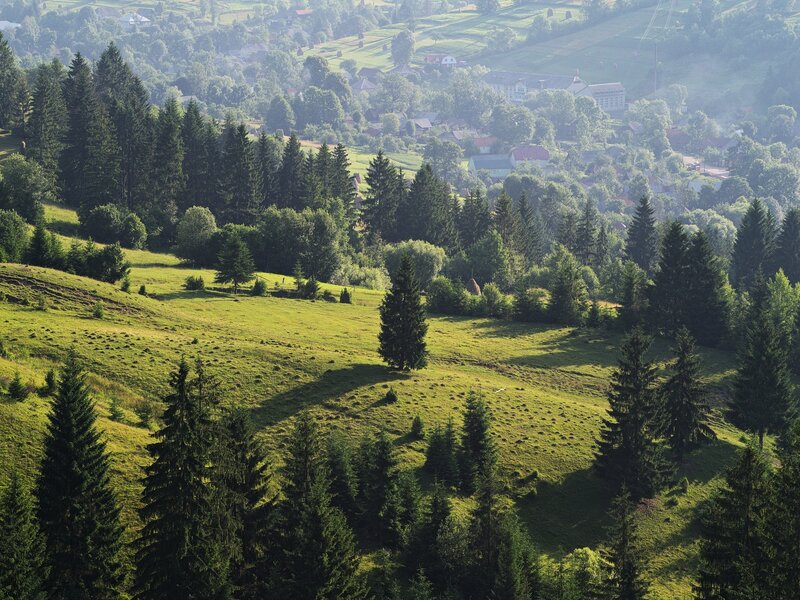 Village in a green valley