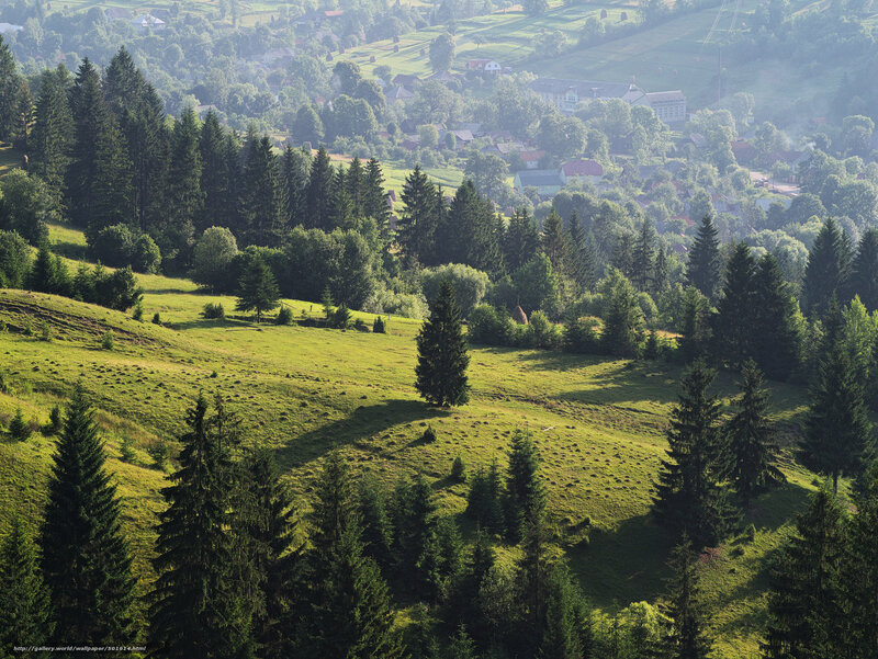 Village in a green valley