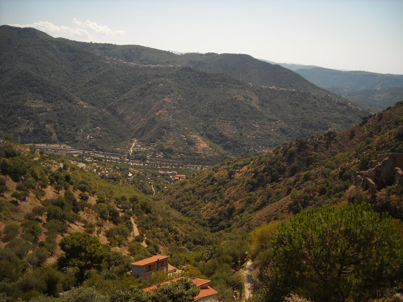 village in a green valley