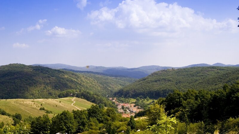 village in a green valley