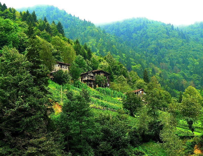 Village in a lush green valley