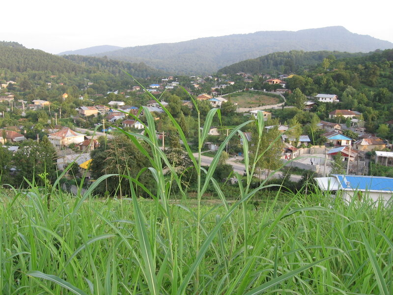 Village in a mountain valley