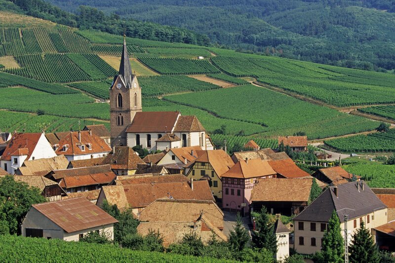 Village in a vineyard landscape