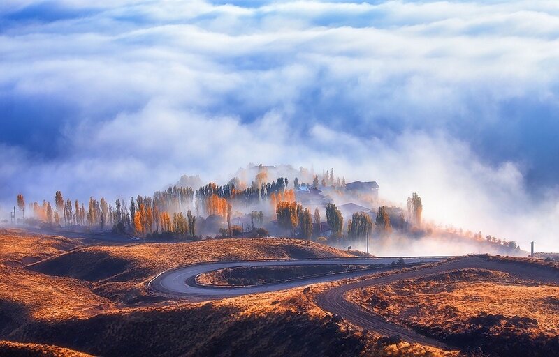 Village in Autumn Fog — Blue