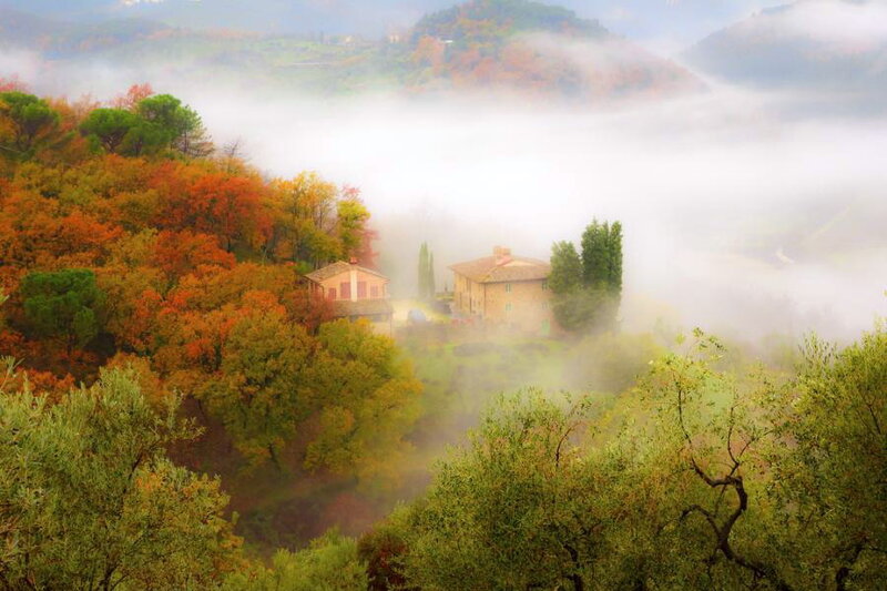Village in Autumn Fog