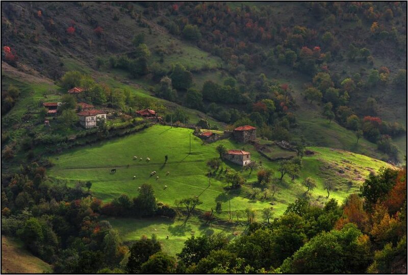 Village in Autumn Hills — Green