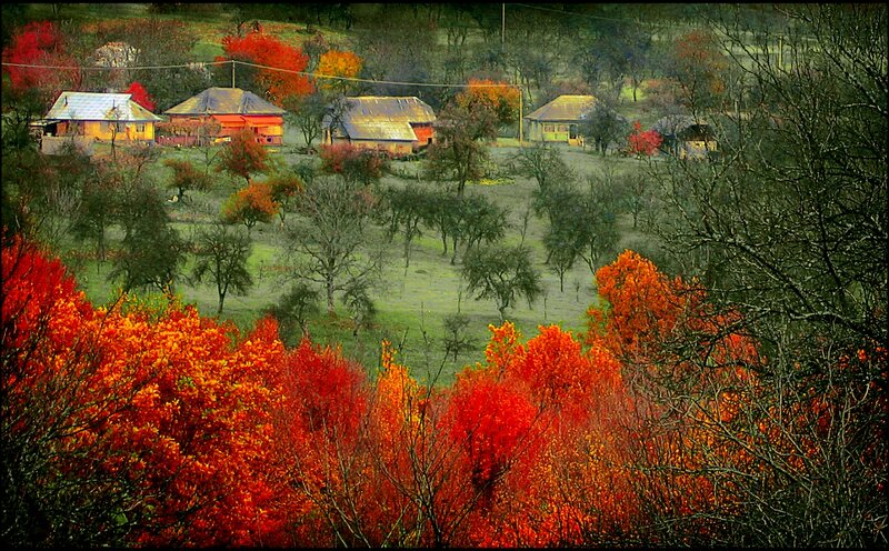 Village in Autumn — Red