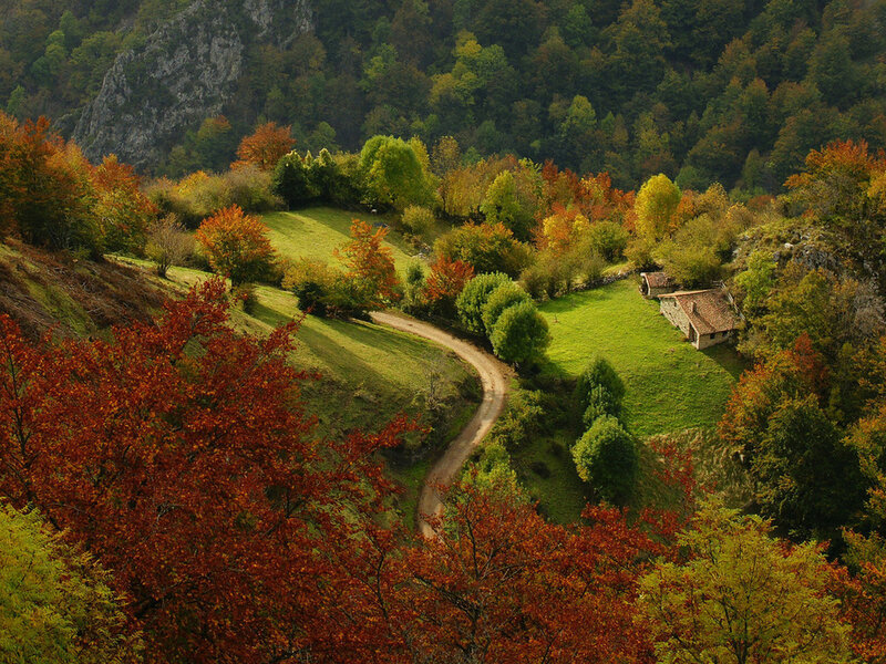 Village in Autumn Valley — Green, Serene