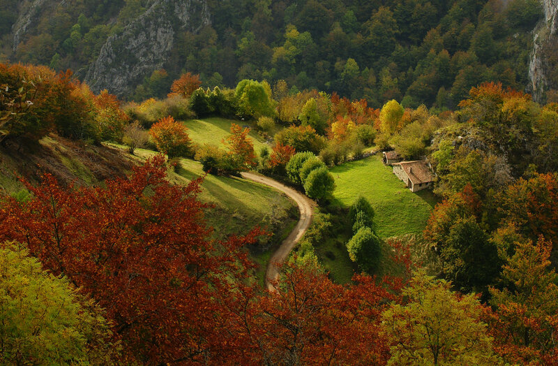 Village in Autumn Valley — Green