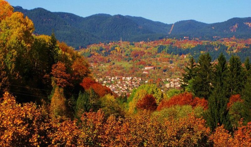 Village in Autumn Valley — Orange