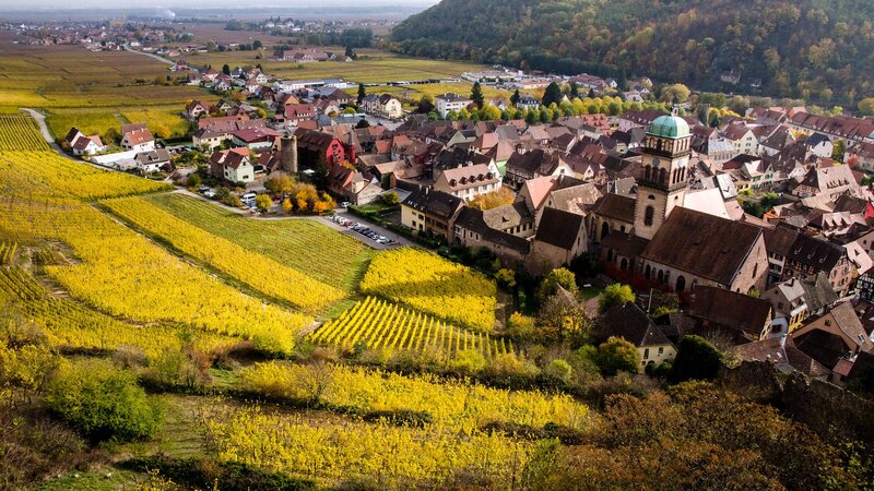 village in autumn vineyards