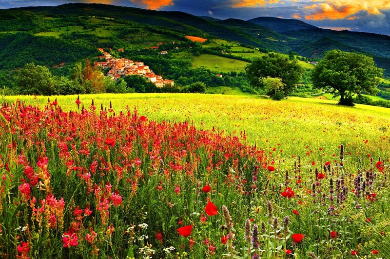 Village in Flower Field — Green