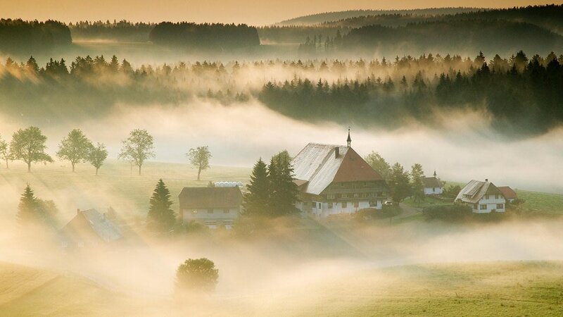 Village in Foggy Valley — Green, Serene, Morning, Photograph, Houses