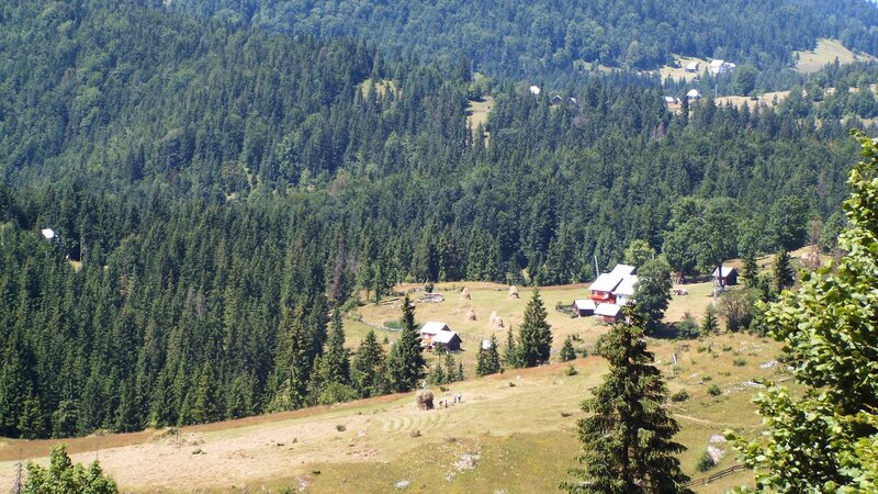 Village in Forested Valley — Green, Serene