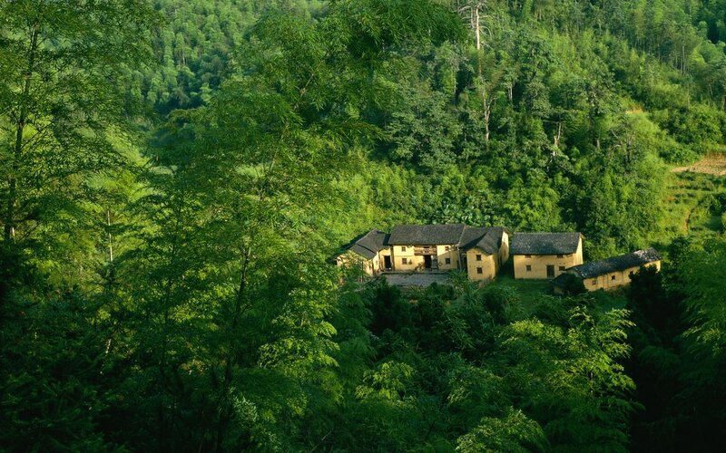 Village in Forested Valley