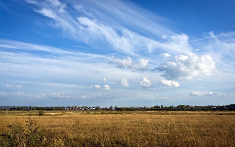 Village in Golden Field