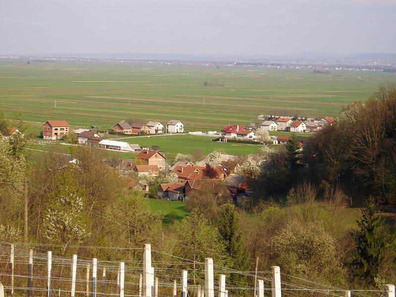 Village in Green Fields