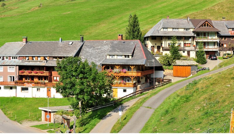 village in green hills