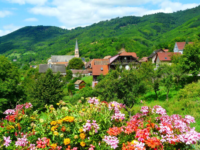 Village in Green Valley — Serene, Summer