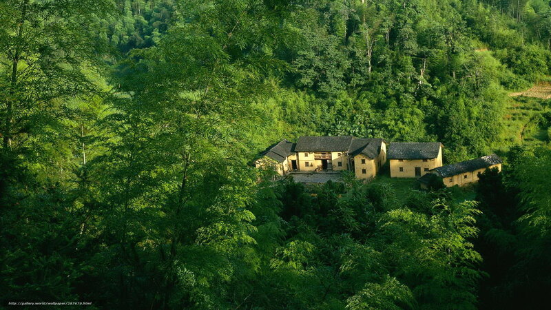 village in lush green forest